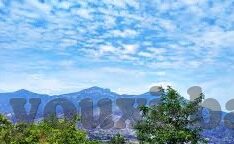 万人炸金花有什么技术-万人炸金花，策略与技巧的深度剖析